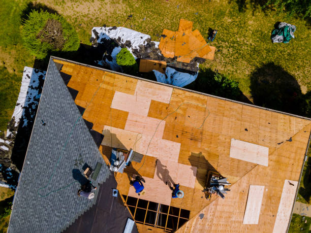 Best Roof Waterproofing Services  in Hawi, HI